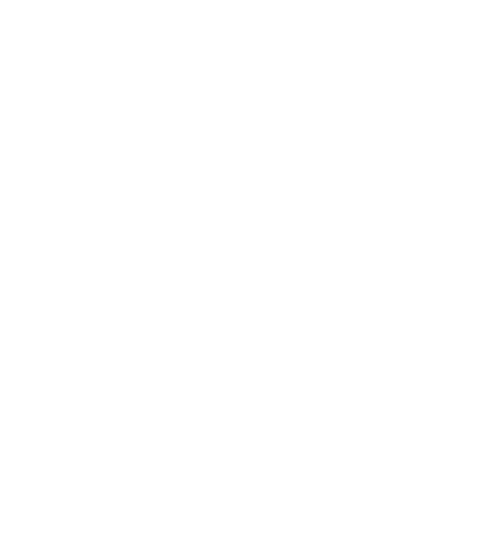 Logo of Example Company with Wi-Fi symbol